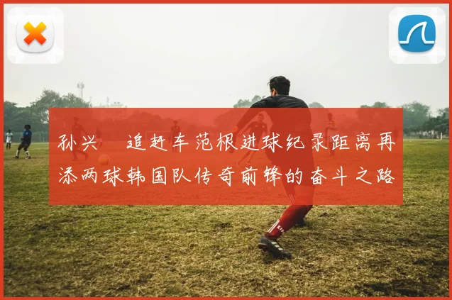 孙兴慜追赶车范根进球纪录距离再添两球韩国队传奇前锋的奋斗之路